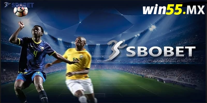 Sbobet Thể Thao Win55 - Sảnh Cá Cược Thể Thao Đầy Kịch Tính