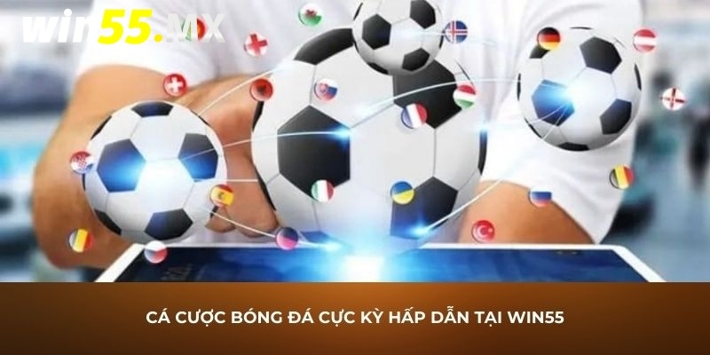 Cá Cược Bóng Đá - Bộ Môn Thể Thao Sôi Động Nhất Tại Win55