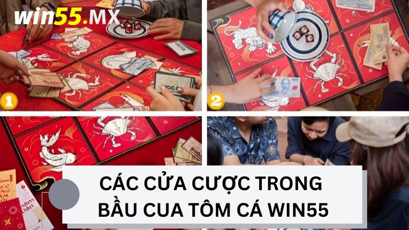 Các cửa cược có trong bầu cua tôm cá của Win55